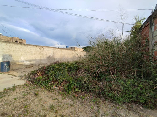 Imagen 4 de 4 de Michelle Vargas Vende Excelente Terreno En Ciudad Alianza/ Urb. Agua Sal Fot - 261mv