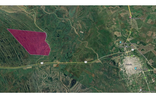 Imagen 9 de 29 de Campo De Isla Ganadero, 2.000 Has Sobre El Paranacito