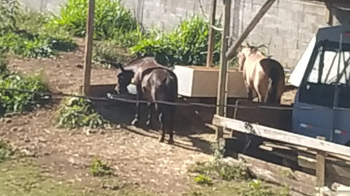Sítio Com Casa Nova, Com Dois Pavimentos, Aproximadamen300m2