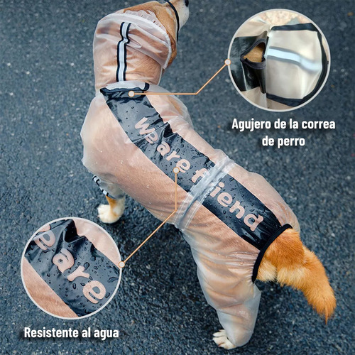 Capa De Chuva Para Cachorro, Capa De Chuva Jorongo Com