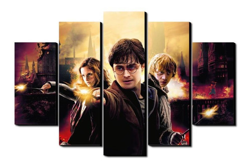 Cuadro Decorativo Harry Potter