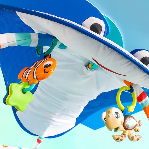 Imagen 5 de 6 de Disney Baby Sr. Ray Océano Luces Gimnasio De Actividades