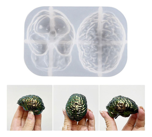 Órganos De Resina Fundición De Fondant Suministros Cerebro