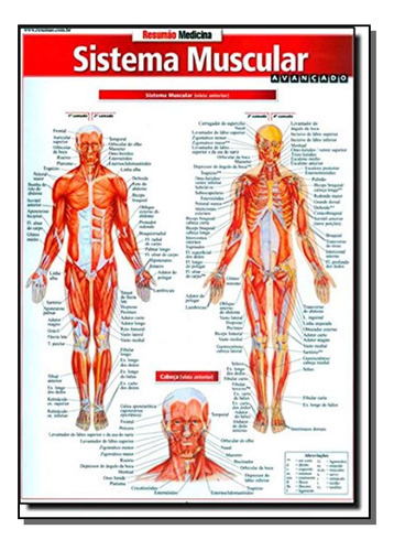 Resumao Medicina - Sistema Muscular Avancado, De Barros Fischer E Associados. Editora Resumao Em Português