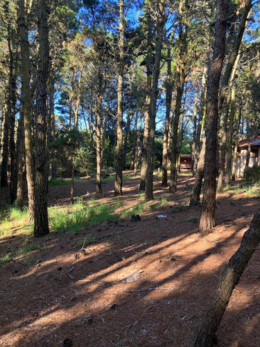 Lote En Mar De Las Pampas, Todo Bosque