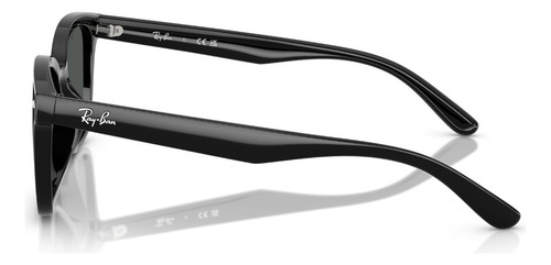 Óculos De Sol Ray Ban Core Preto Rb4461d 60187-64