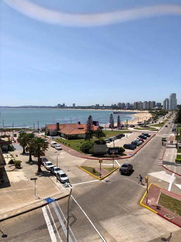 Departamento Con Vista A La Mansa, 2 Dormitorios, 1 Baño, Muy Luminoso!