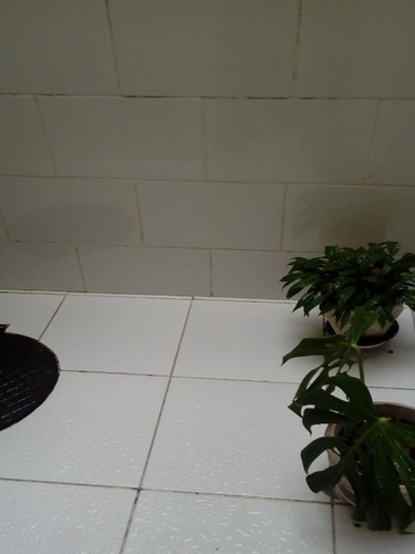 Imagem 11 de 15 de Apartamento Térreo Com 2 Quartos Área Coberta, 79m² - Quintino - Aea2133