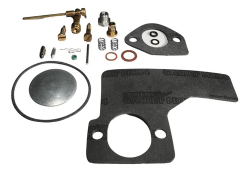 Kit Reparacion Raisman® Para Carburador Briggs & Stratton