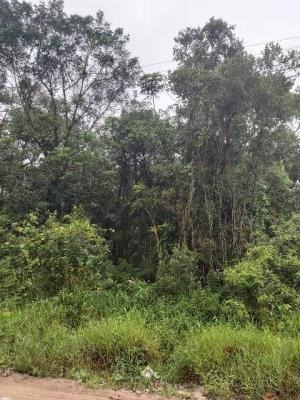 Imagem 5 de 8 de 7010 Kym - Terreno De Chácara - Parque Real- 4.000 M².