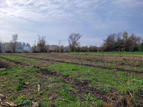 Sitio Con Conectividad A Cruce Champa Y Acceso Sur