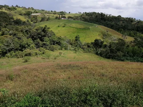 Vendo Finca En Restrepo Valle
