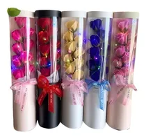 Comprar Rosas Tubulares Con Luces Led - San Valentin -recuerdos Amor