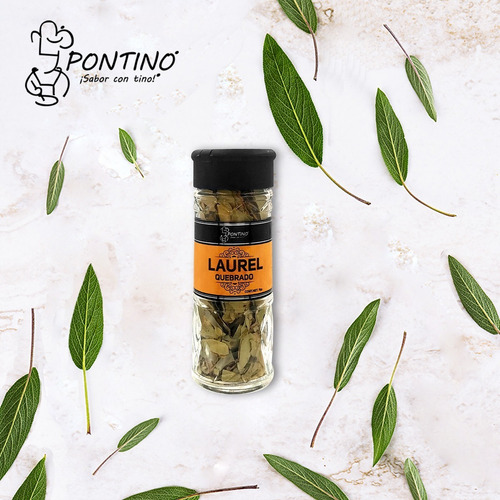 Pontino Hojas De Laurel 11 Gramos 2 Piezas