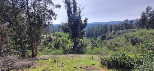 Venta Parcela, En Condominio Camino A Leyda
