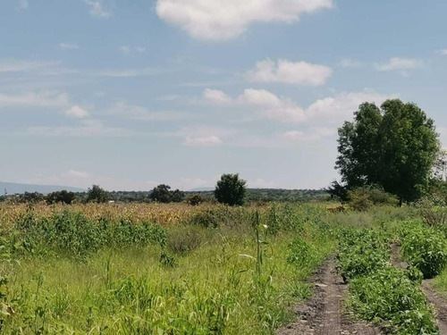 Terreno En Venta En Colonia Ajuchitlancito, Pedro Escobedo, Querétaro
