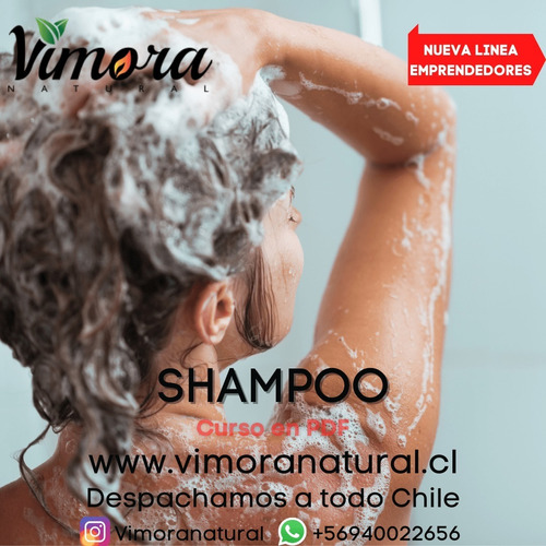 Pdf Curso Basico Shampoo Liquido