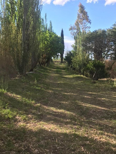 Imagen 9 de 30 de Finca De 62 Ha - General Alvear- Mendoza