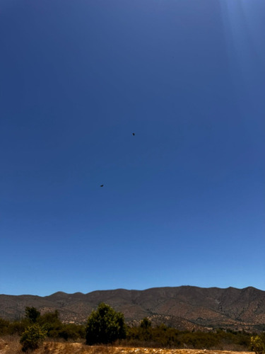 15 Hectareas Aprox Con Agua Y Luz