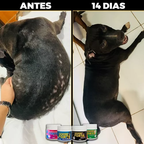 Suplemento Cachorro Forte Gold 250g 4 em 1 - Vitaminas e