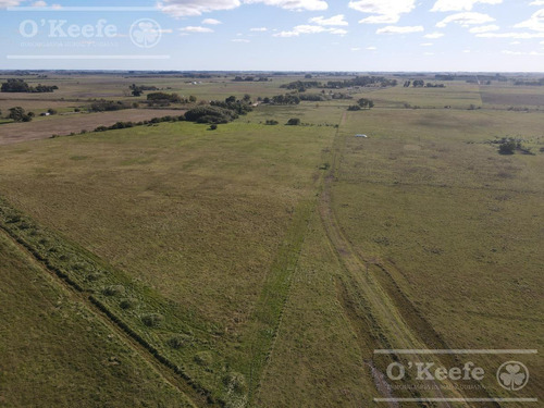 Imagen 4 de 16 de Campo Mixto De 280 Has En Venta Con Inmejorable Acceso Sobre Asfalto En Ranchos - Oportunidad !