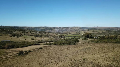 Campo 86 Has 6937 M2 En La Cañas