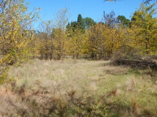 Terrenos O Lotes Venta Nono