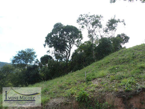Imagem 9 de 15 de Terreno Em Palmares - Paty Do Alferes - 2014