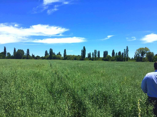 Parcelas A Minutos Centro Urbano Longaví Con Tierra Fértil