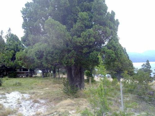 Imagen 21 de 23 de Terreno - Meliquina