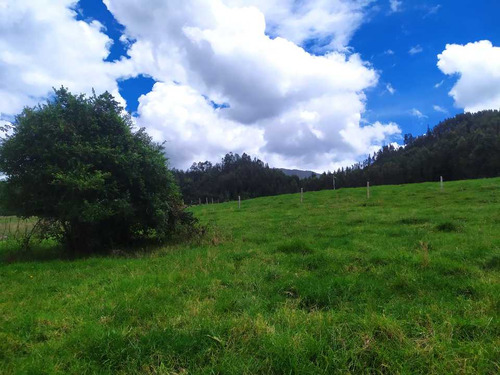 Lote Rural 5.000 M2. Construir Casa Campestre Sotaquirá -  Boyacá