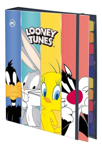 Fichário Colegial Looney Tunes Warner Bros 48 Fls Decoradas Cor Azul