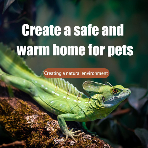 Pequeña Piel De Reptil Leopardo Gecko Hide House Gecko Repti