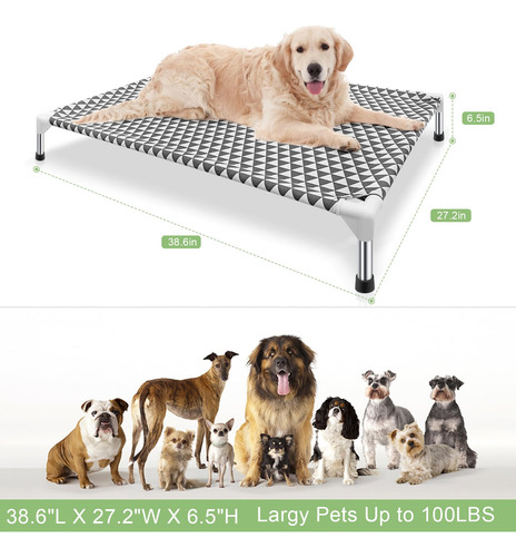 Cama Para Perros Kuntrust Elevated Elevated Pet Cuna Para Ma