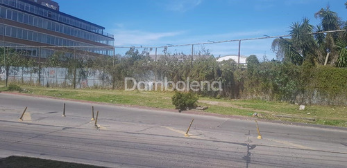 Imagen 6 de 8 de Terreno En Venta O Permuta Ubicado En Colectora Acceso Oeste - Haedo, Morón