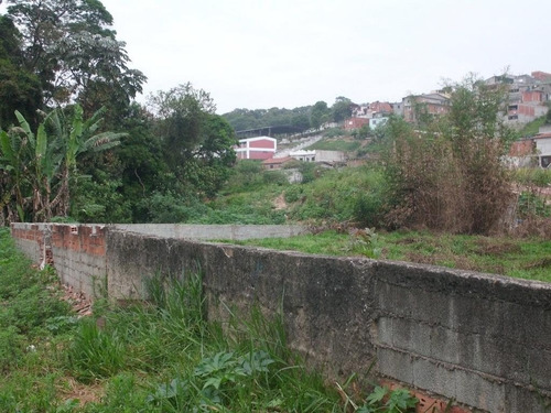Imagem 10 de 15 de Terreno Em Jardim Luciana - Franco Da Rocha - 193