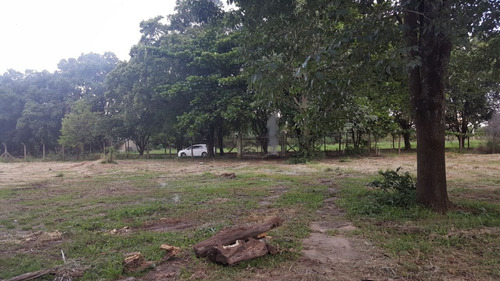 Chacara 5000m2 Casa Sede 200m2 3 Dorms 1 Suíte 3 Banheiros - Ch00018 - 34932686