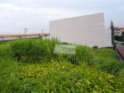 Imagem 4 de 7 de Terreno Residencial À Venda, Parque Renato Maia, Guarulhos - Te0061. - Te0061