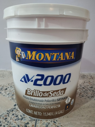 Pintura Brillo De Seda Montana. Cuñete