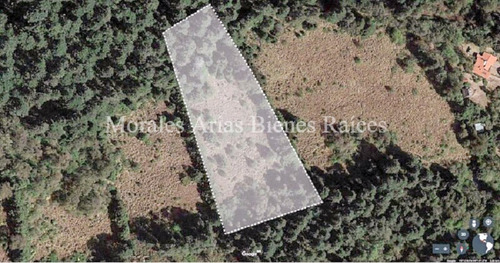 Invierte En Tranquilidad: Terreno Residencial Ecológico En El Ajusco