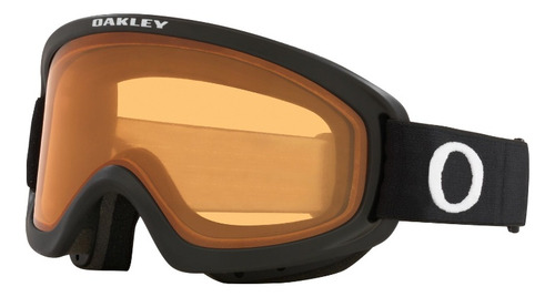 Snow Goggle