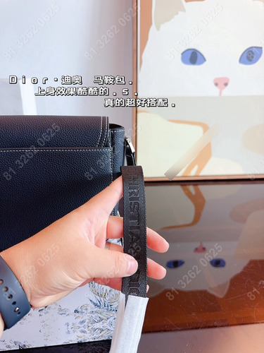 Dior 23*8*18cm Bolso Cámara En Color Sólido (Reacondicionado)