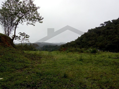 Imagem 6 de 30 de Sítio À Venda Em Juquitiba! - 172 - 34443922