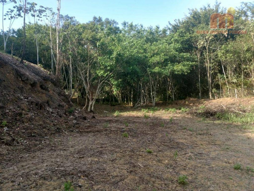 Imagem 16 de 30 de Chácara Residencial À Venda, Centro, Pedro De Toledo. - Ch0100
