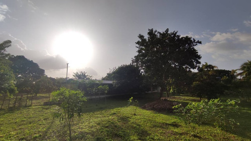 Imagen 12 de 25 de Espectacular Finca En Bejuma Alto De Reyes Carabobo Jc-lp