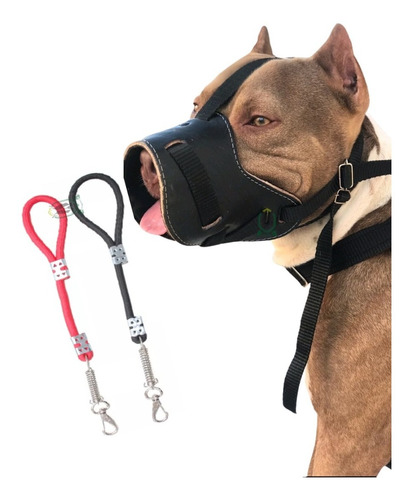 Focinheira Couro Legitimo Para Cães Guia Com Mola Mosquetão
