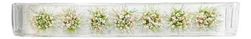 2 Racimo De Flores De Hierba En Miniatura, Mechón De Rosa