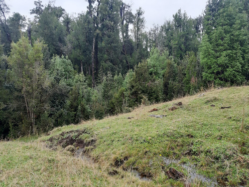 Parcela De 1,26 Hectárea Con Borde De Estero, Sector Puntra