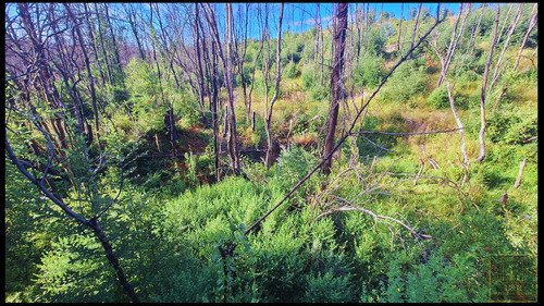 Se Venden Terrenos En Santa Juana , Rural (104525)