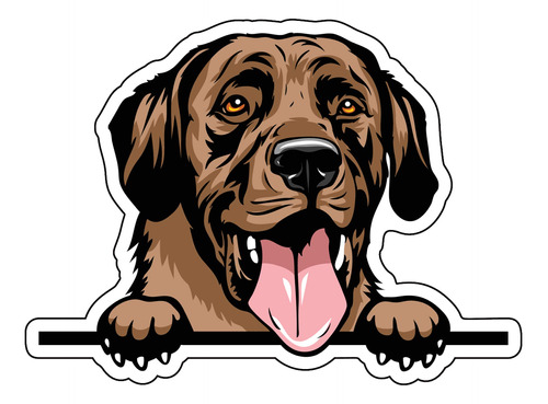 Sonriente Labrador Retriever Decal Adhesivo Para